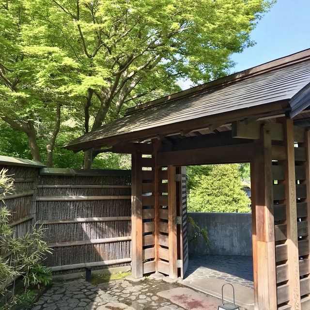 Hotspring experience in Hakone