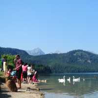 ปราสาท Hohenschiwangau & ทะเลสาบ Alpseelake