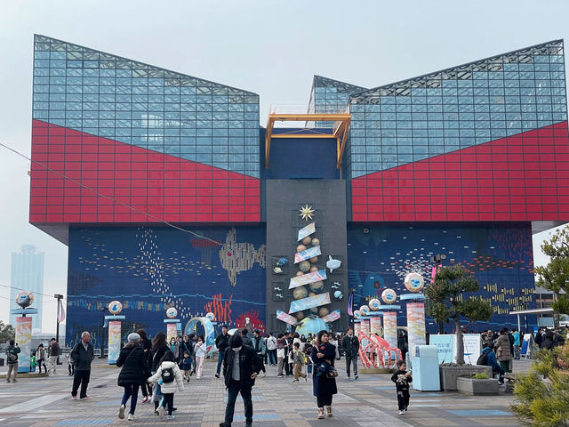 Kaiyukan พิพิธภัณฑ์สัตว์น้ำกลางเมืองโอซาก้า 🐋