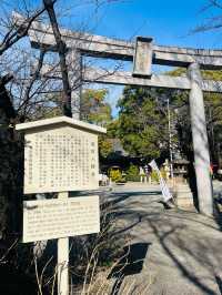 【愛知県】名古屋の総鎮守「若宮八幡社」を参拝