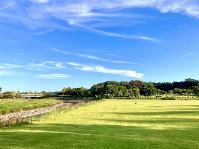 Senba Park