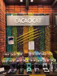 Chocolate Delights: Singapore's Sweet Story