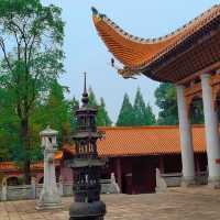 金台寺：寧靜禪境～身心靜修