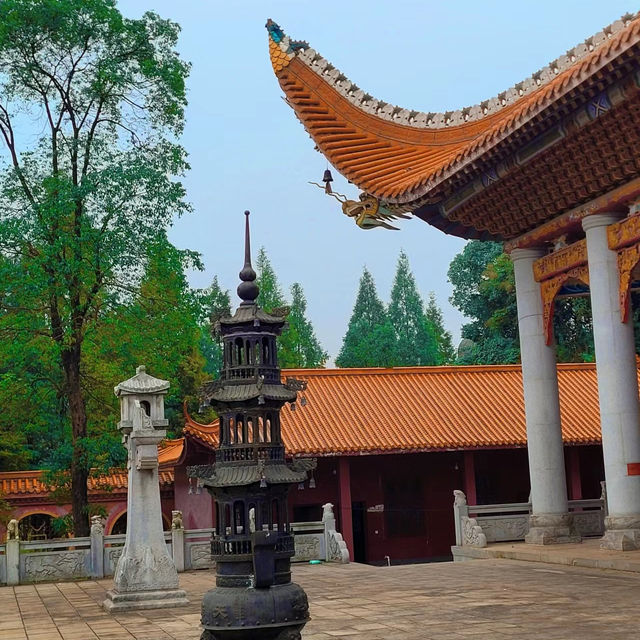 金台寺：寧靜禪境～身心靜修