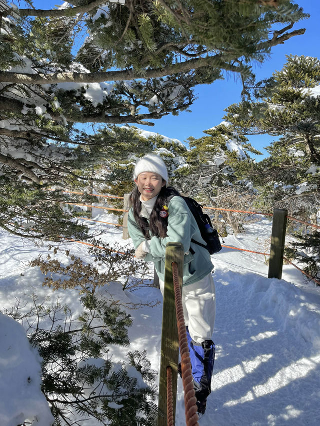 왕복 4시간이면 가는 한라산 설산 꿀팁 모음 #윗세오름  
