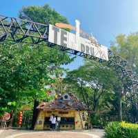 【十鼓仁糖文創園區】臺南必去親子景點，適合全年遊玩