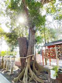 【大原神社/千葉県】夫婦神を祀る縁結びご利益あり