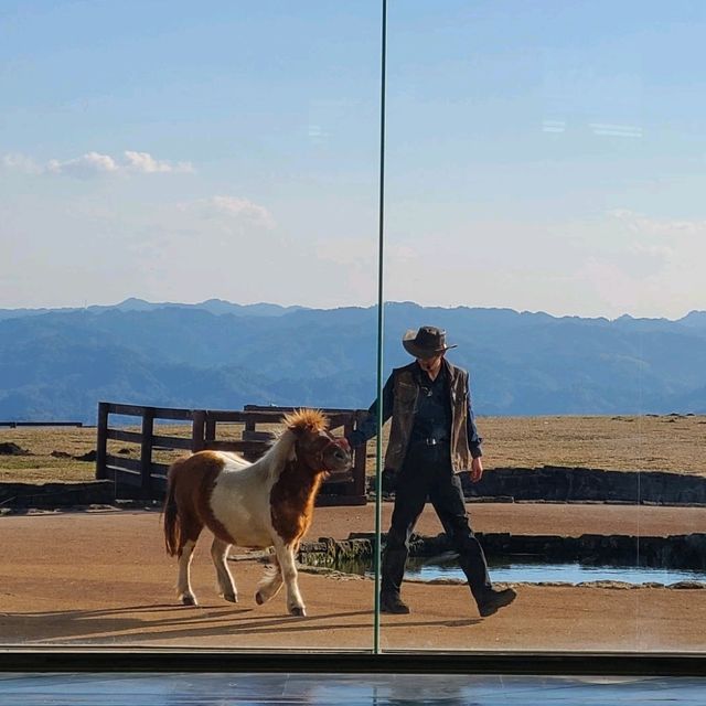 自然と動物と触れ合えるスポット