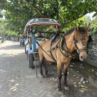 The Gili’s mode of transport 