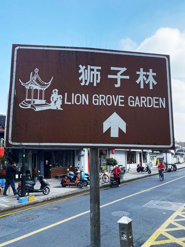 Find no lion in the lion grove garden🦁️ 