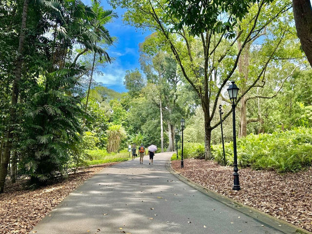 Singapore Botanic Gardens