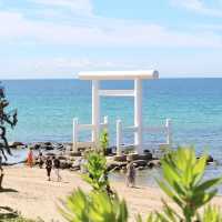 【福岡】夏日藍天白雲，享受福崗的美景！