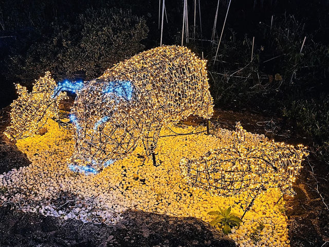 Jeju Light Garden