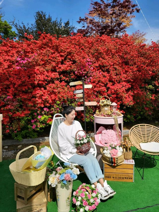 제1회 서부해당화 봄꽃축제🌸