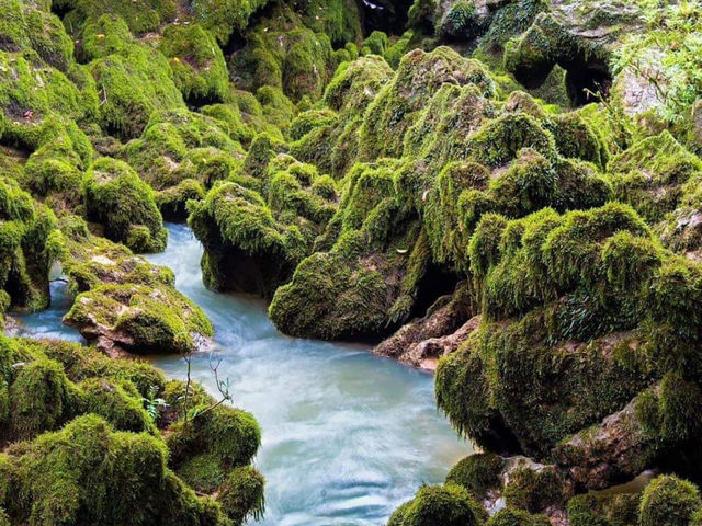 Phong Nha - Ke Bang National Park 