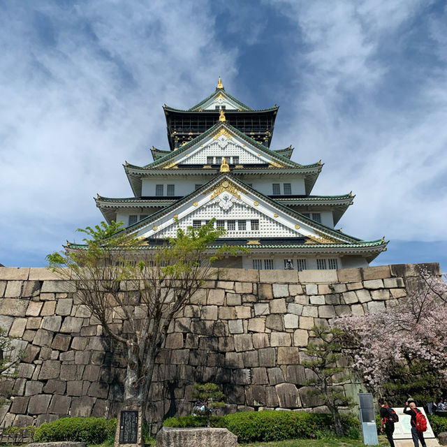 Hanami at Osaka Castle with Locals