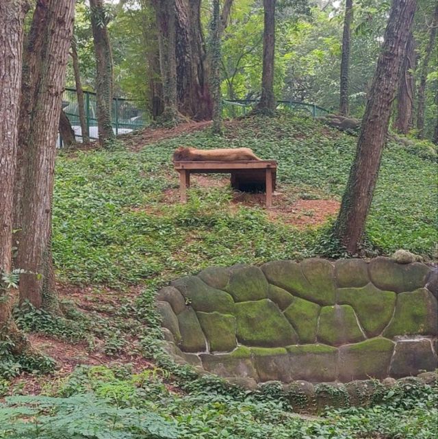 Zoo visit