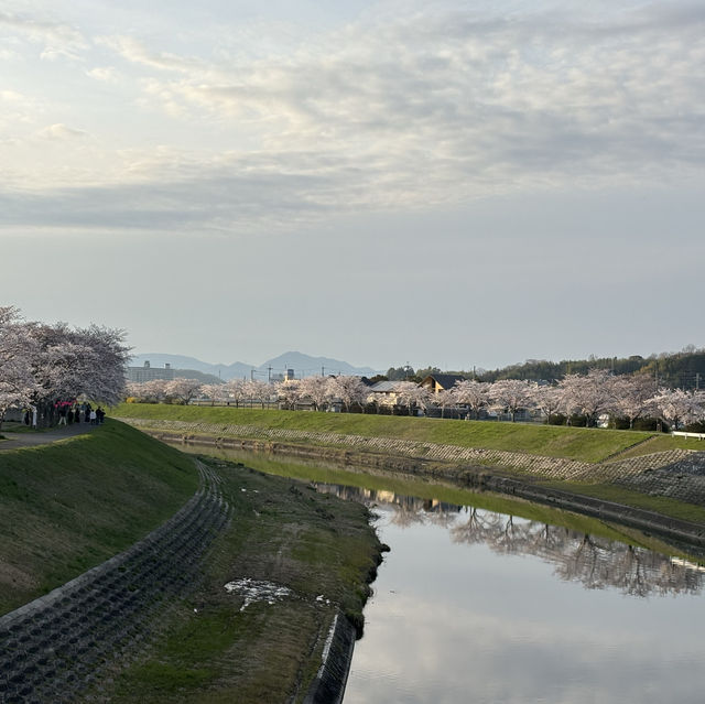 【兵庫県】KOTOBUKInoYu【三田】