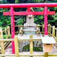 【城山稲荷神社/島根県】数えきれないほどの狐像