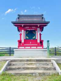 【男浅間神社/栃木県】足利富士を登れば、待つ絶景