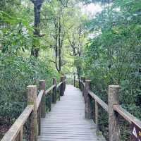 Highest Point in Thailand: Kew Mae Pan Nature Trail @ Chiang Mai 🇹🇭