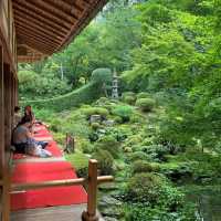 福岡大濠公園日式庭園：精緻造園、恬靜環境，感受日本風情