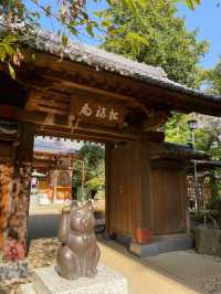 東京的秘密花園：豪德寺與千貓的祝福