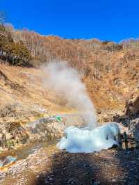 【長野】世界で唯一温泉に入るサルを間近で見れる場所