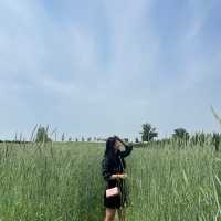 💚5월의 싱그러움과 잘 어울리는 📍안성팜랜드📍로 초대합니다💚