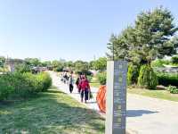 汝矣島漢江公園(여의도한강공원) - 首爾