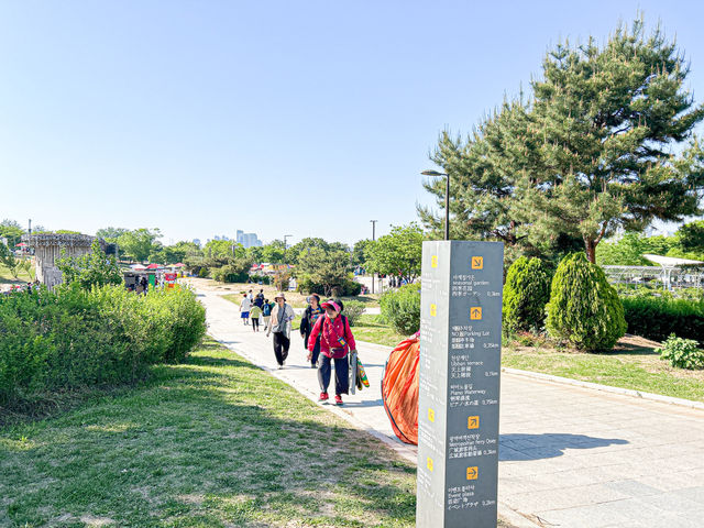 汝矣島漢江公園(여의도한강공원) - 首爾
