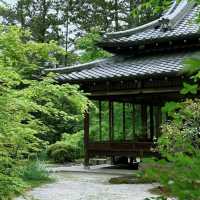 「普門院」古老文化底蘊～靈感與寧靜