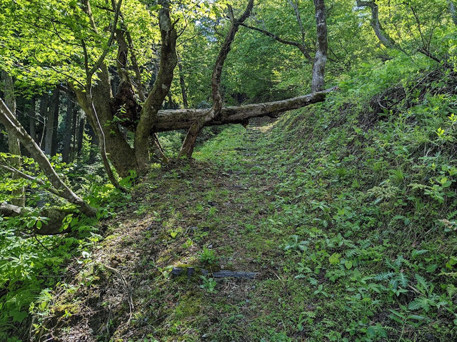 Matsukura Castle ruins (Toyama Prefecture)