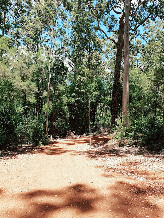 Beautiful Natural Camp