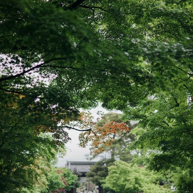 靈光院～世外桃源