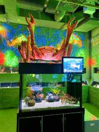 Exploring The Shore Oceanarium