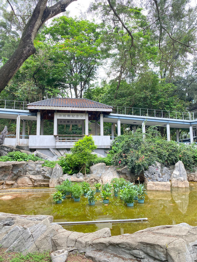 春季郊遊文青路線:嶺南樓飲茶+大學半日遊 春季郊遊文青路線:嶺南樓飲茶+大學半日遊