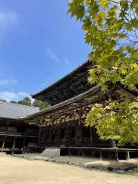 【兵庫・姫路】西の比叡山とも呼ばれるお寺