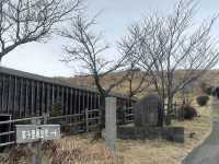 「草千里」：阿蘇火山地區的壯麗草原，四季風景、野生動物和戶外活動的天堂