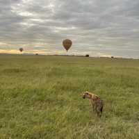 The incredible wild life of Masai Mara 