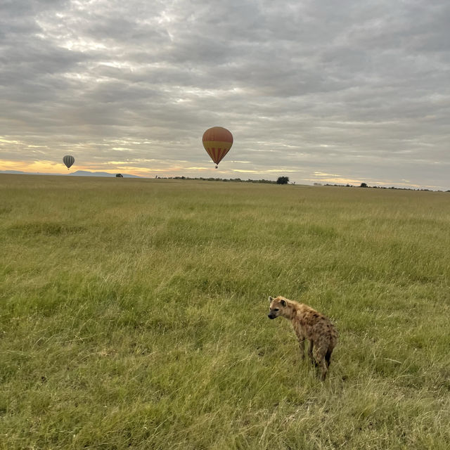 The incredible wild life of Masai Mara 