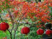 陸奧紫陽花園