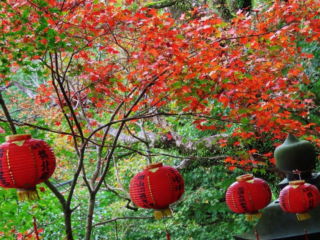 陸奧紫陽花園