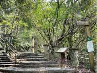 【士林】碧溪步道：春天好去處，連接大崙頭尾山