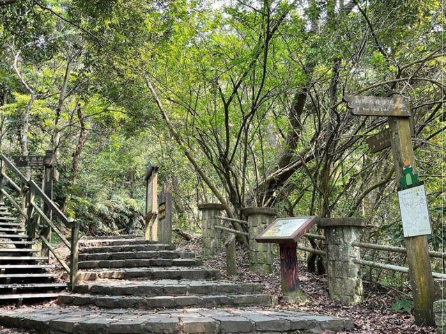 【士林】碧溪步道：春天好去處，連接大崙頭尾山