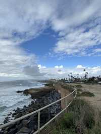【LA聖地亞哥】La Jolla Cove：海豹海獅近距離觀賞，適合白天遊玩！