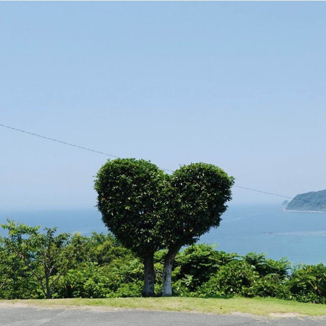 【福岡観光】ハートの木が可愛い