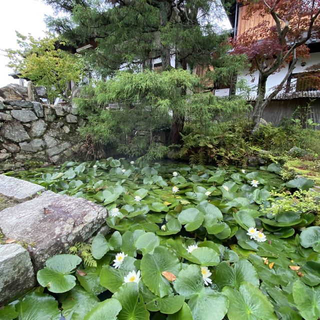 【広島西条】安芸國分寺