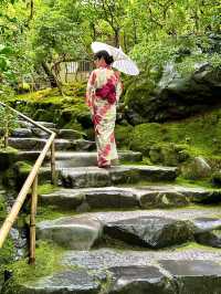 〜京都府〜暑くない！むしろ涼しい絶景🌱青紅葉のリフレクション