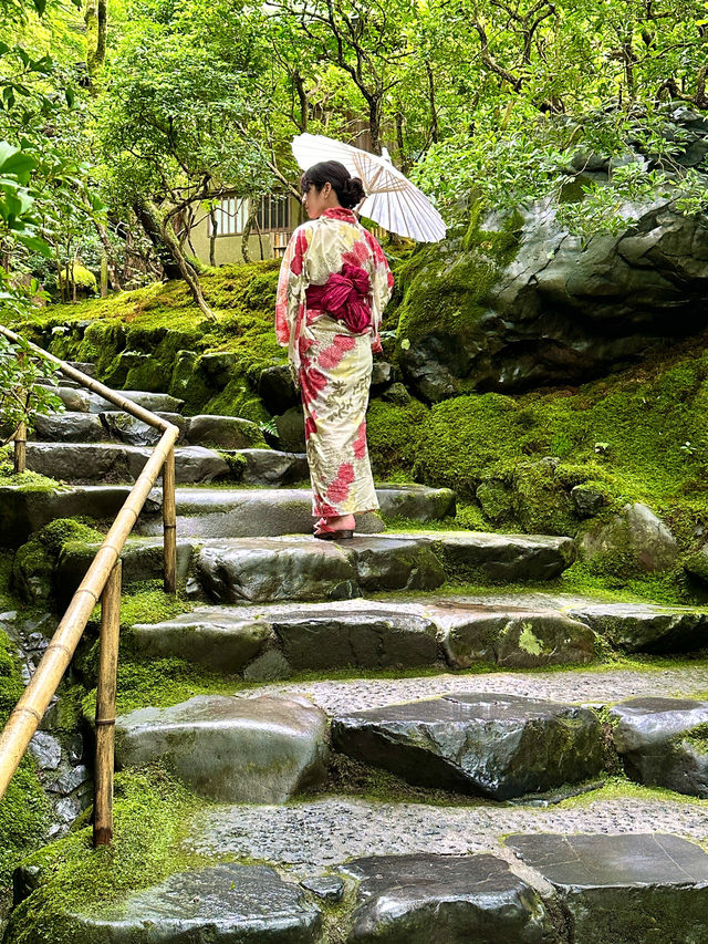 〜京都府〜暑くない！むしろ涼しい絶景🌱青紅葉のリフレクション